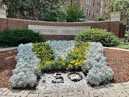 Vandy 6